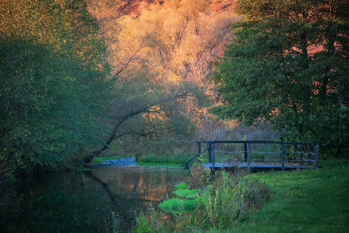 © Парк Кудыкина Гора/ Вконтакте 
