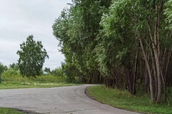 Фото: nsk.kp.ru