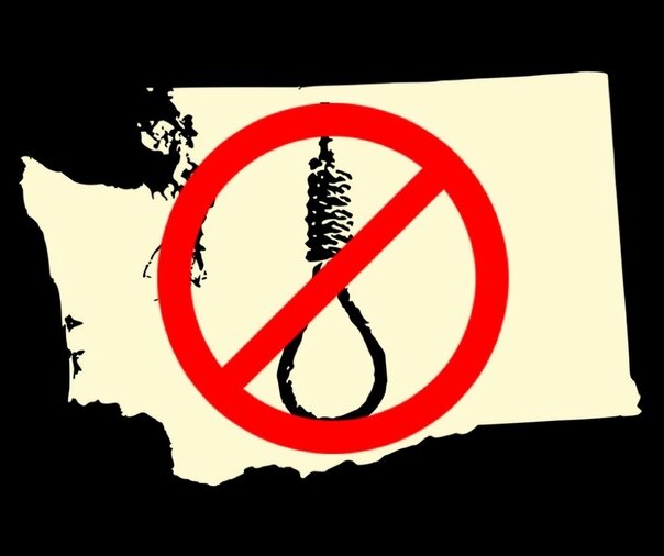 Фото из открытых источников.