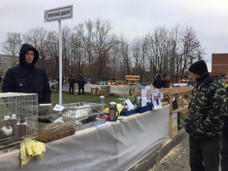     Фото: gazetapervomaisk.ru