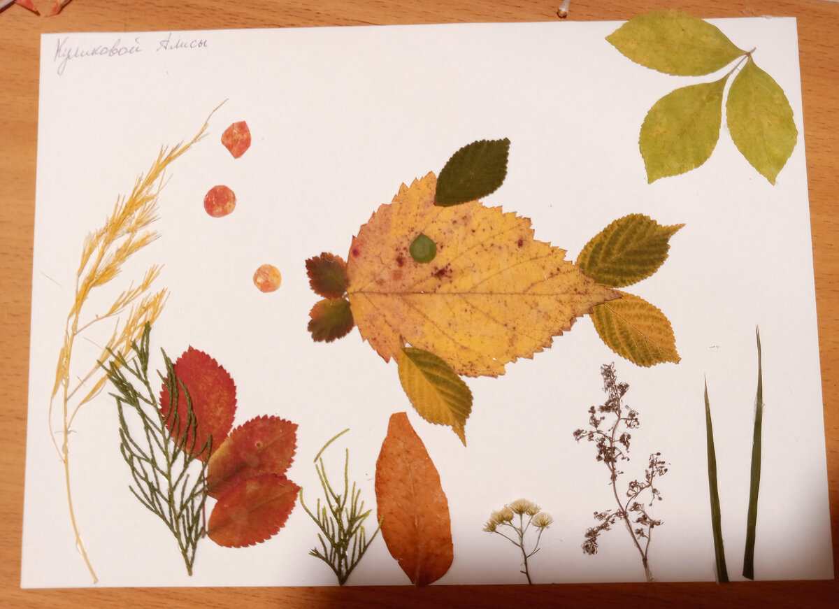 Высушенные таким образом листья и цветы дома просто необходимы, если у вас есть дети школьного и дошкольного возраста. Поделки никто не отменял🙃.