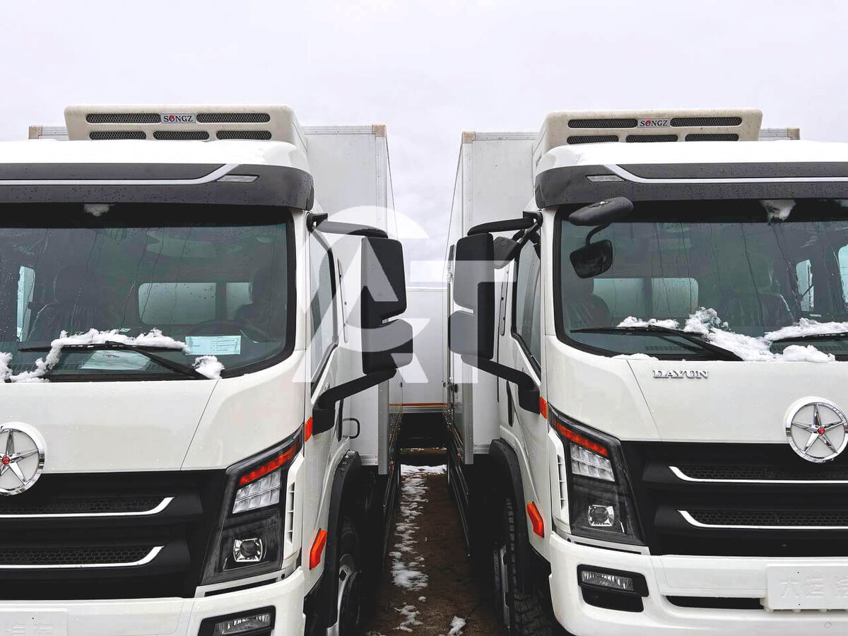 Авторефрижераторы Dayun