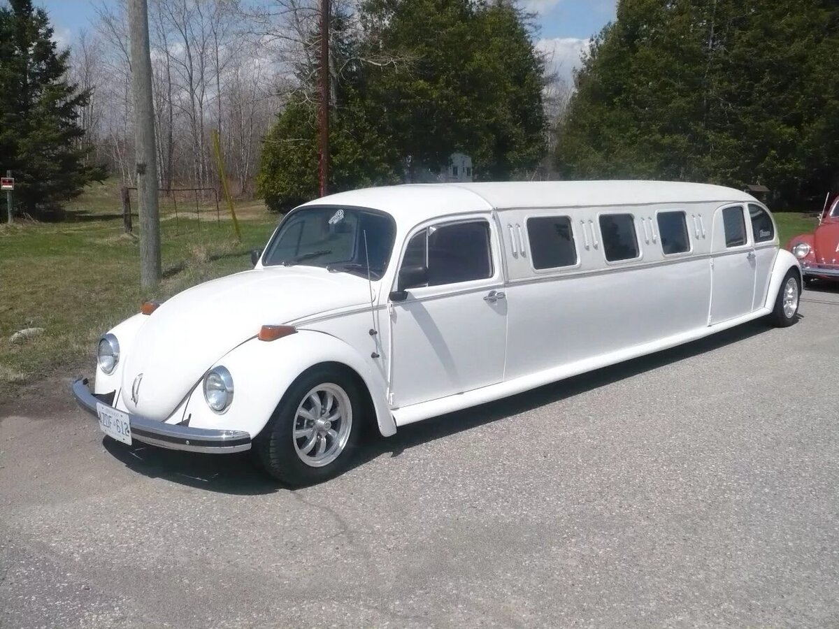 Stretch Limousine 2021