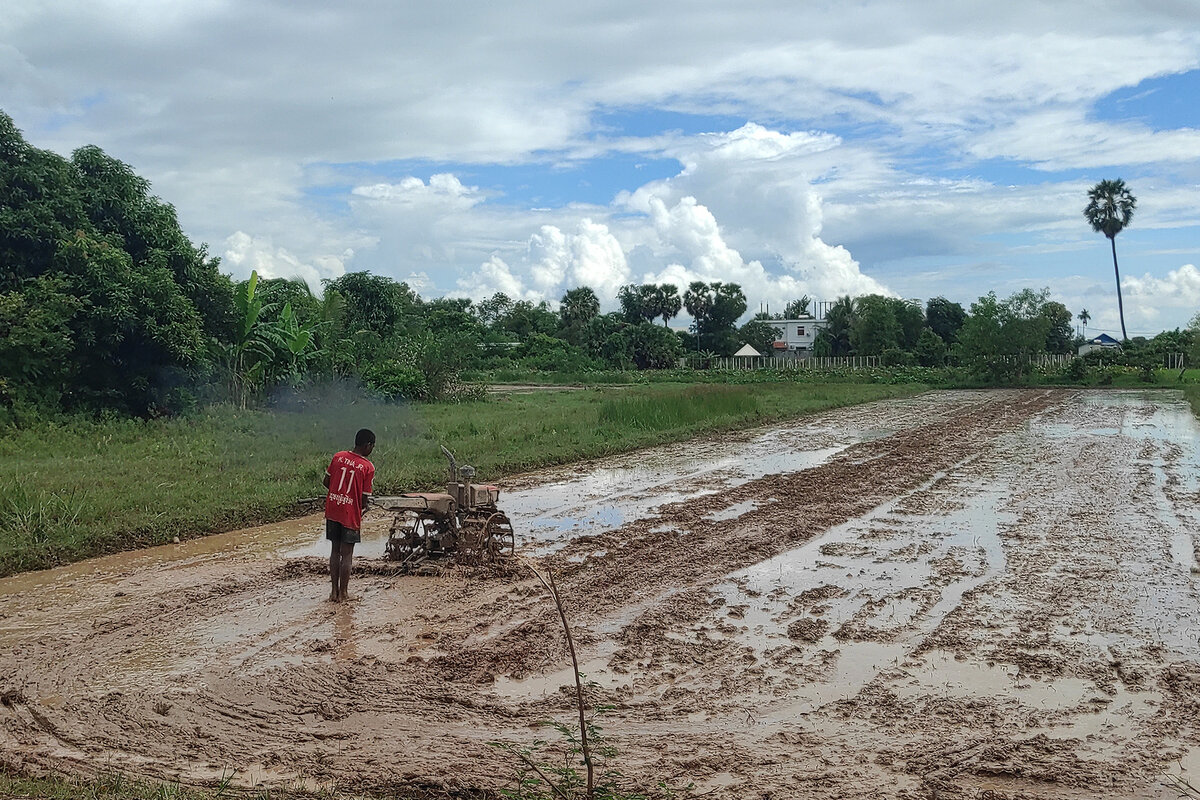 Местные жители вспахивают поля под посев риса, на горизонте виднеется просвет надежды)
