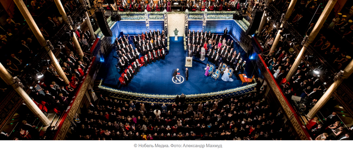                                                 © Нобель Медиа. Фото: Александр Махмуд