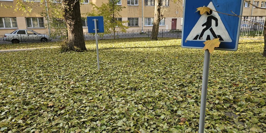    Ковры травянистого цвета покрыли те места, где в мае все было устлано тополиным пухом.Евгения Назарова