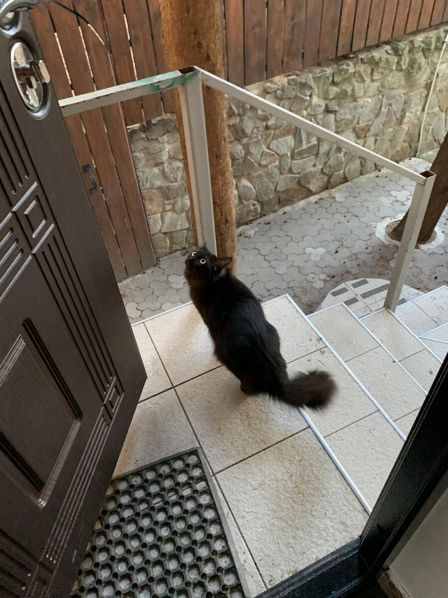 Дальше лестницы не уходит.