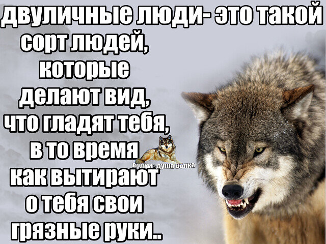 Фото из интернета