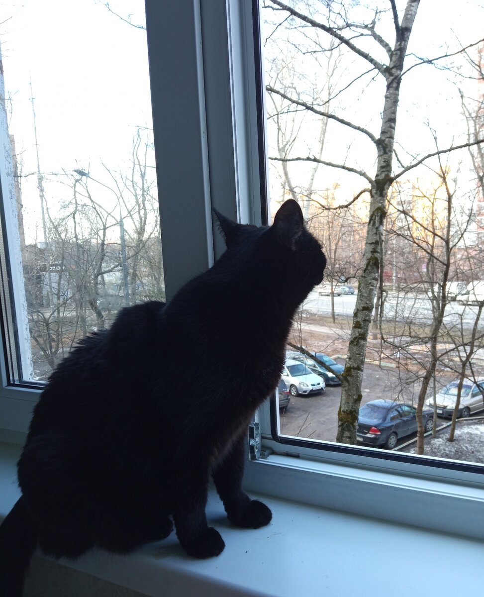 В ожидании дачного сезона