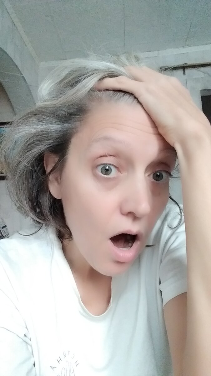 Все пропало, шеф!