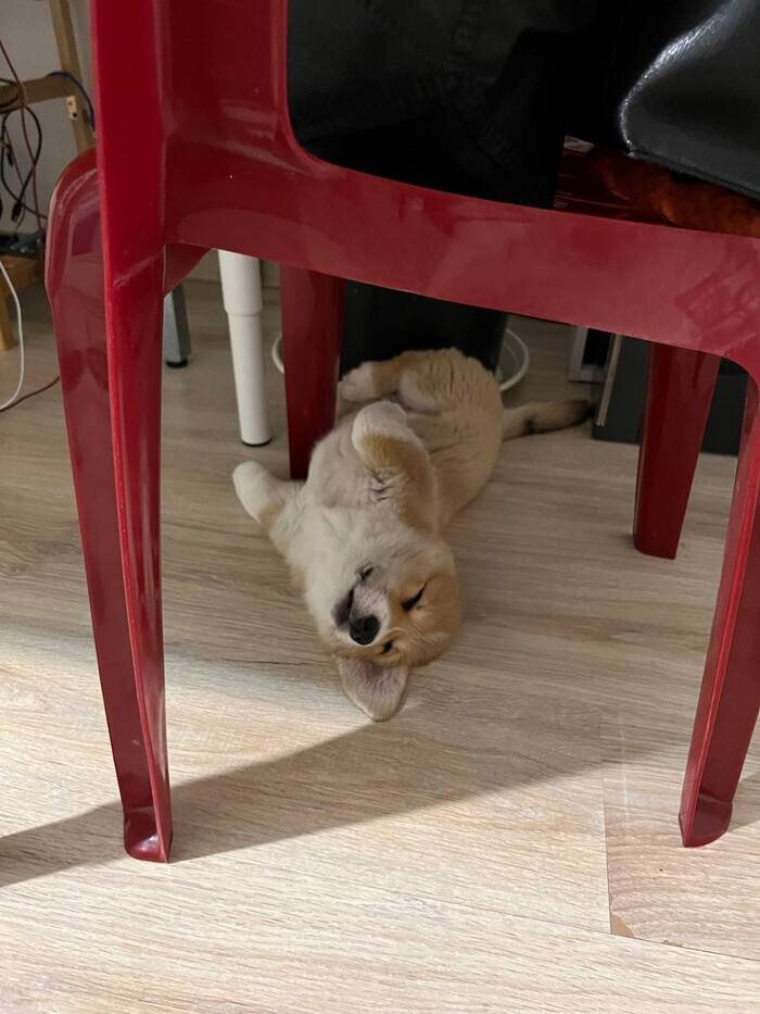 .