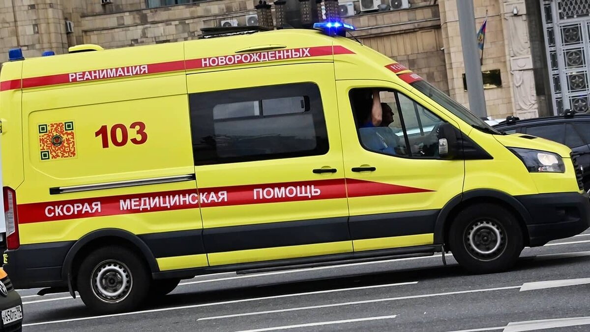 Фото: https://tvzvezda.ru/ (https://mcdn.tvzvezda.ru/storage/news_other_images/2023/08/13/9359357b824540e78a66ddfb8a3085b2.jpg)