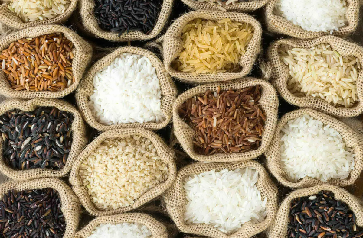 Рис отличия. Сорта риса. 70 Сортов риса. Всемирный день риса. Необычный сорт риса