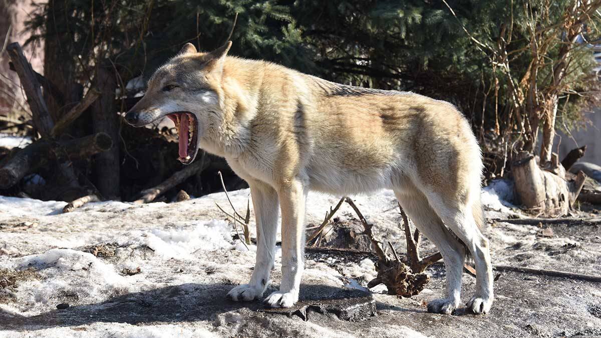    Фото: Екатерина Алексеева / Вечерняя Москва