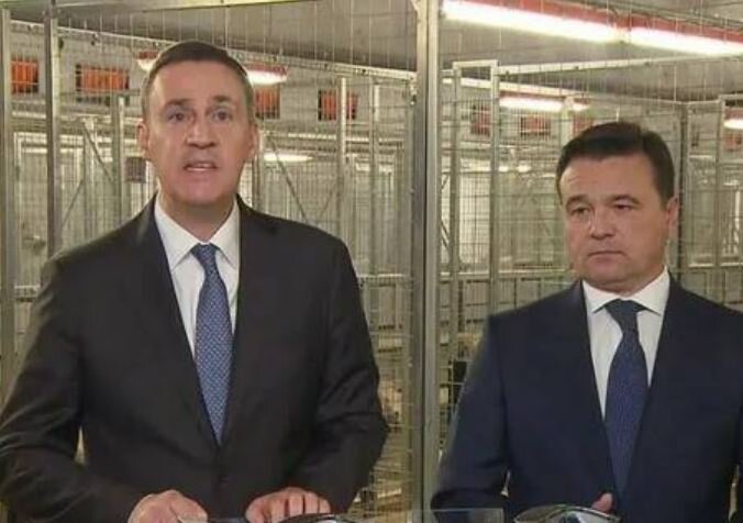 Патрушев и Воробьёв на птицеферме общаются с Путиным (иллюстрация из открытых источников)