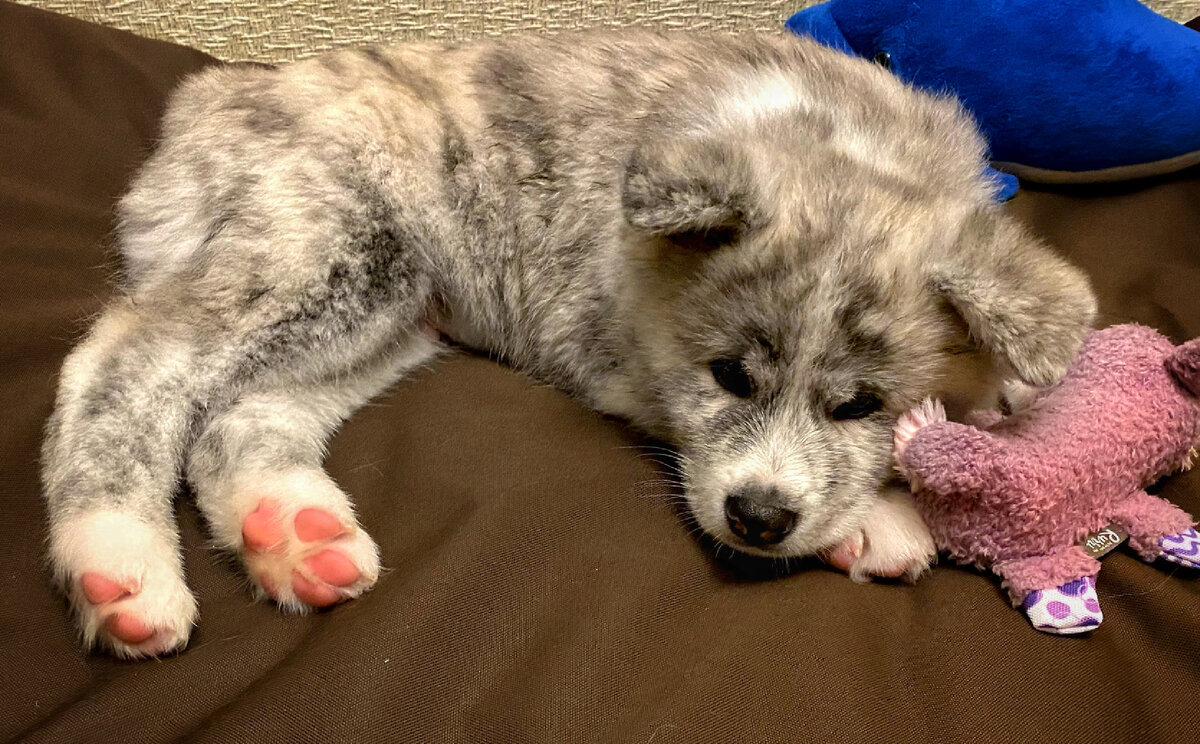 Первые часы в новом доме, показали место и предложили отдохнуть)