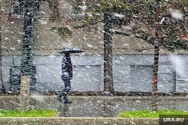    Синоптики обещают мокрый снег на выходных