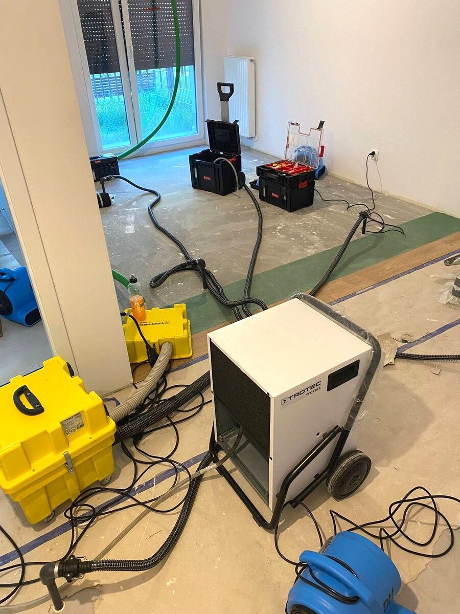 Процесс сушки