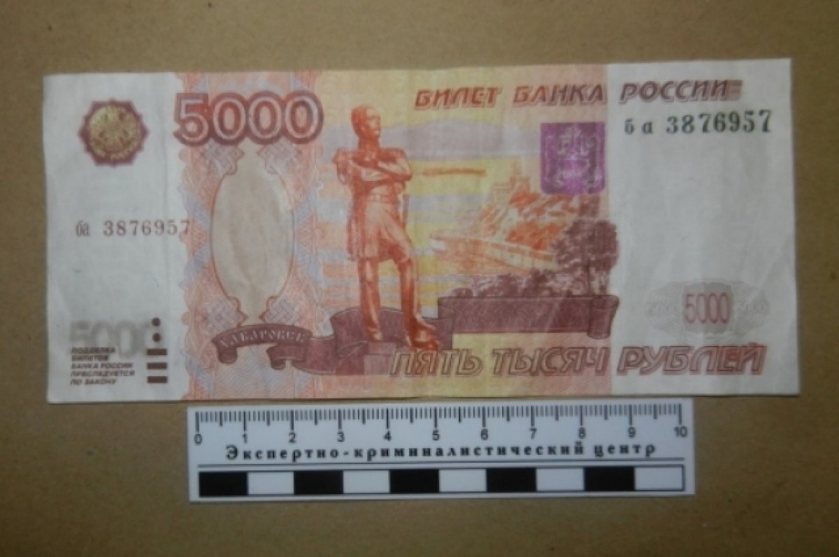    Фальшивые деньги на 240 тысяч рублей выявили в Нижегородской области
