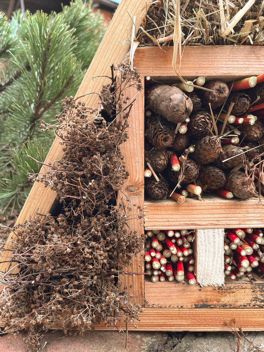 Наполнение домика может быть самым разным!