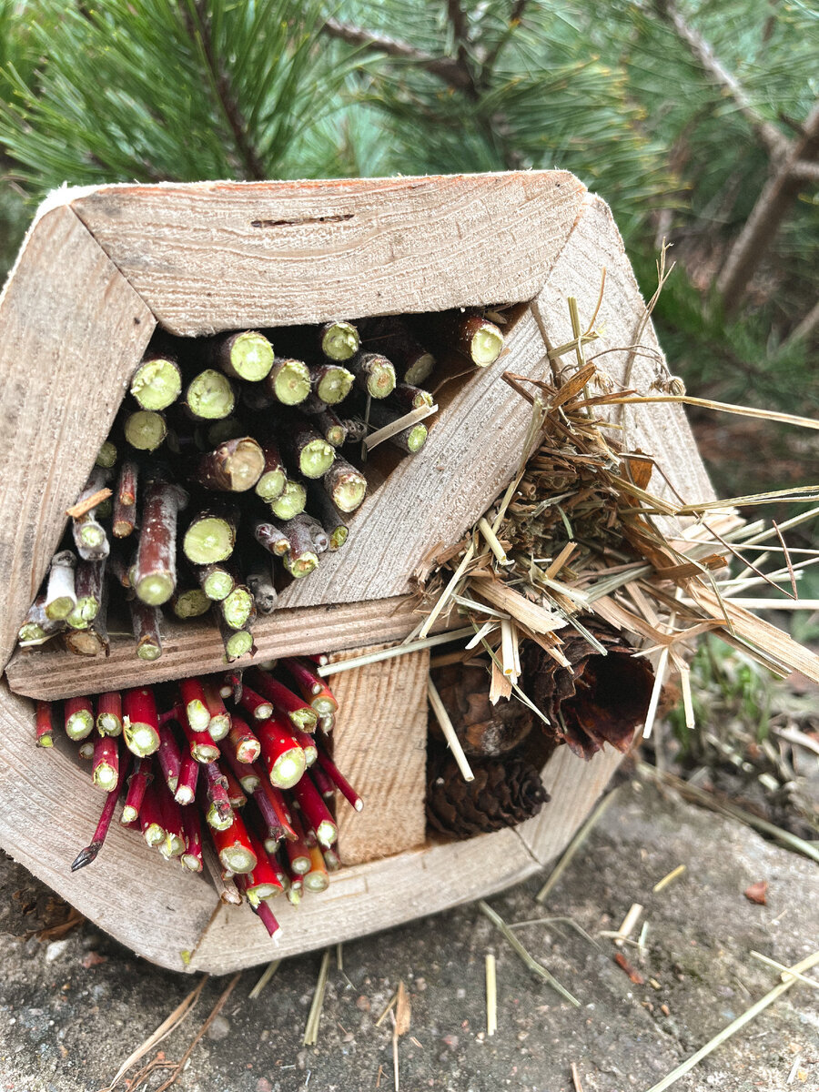 Разное исполнение домиков