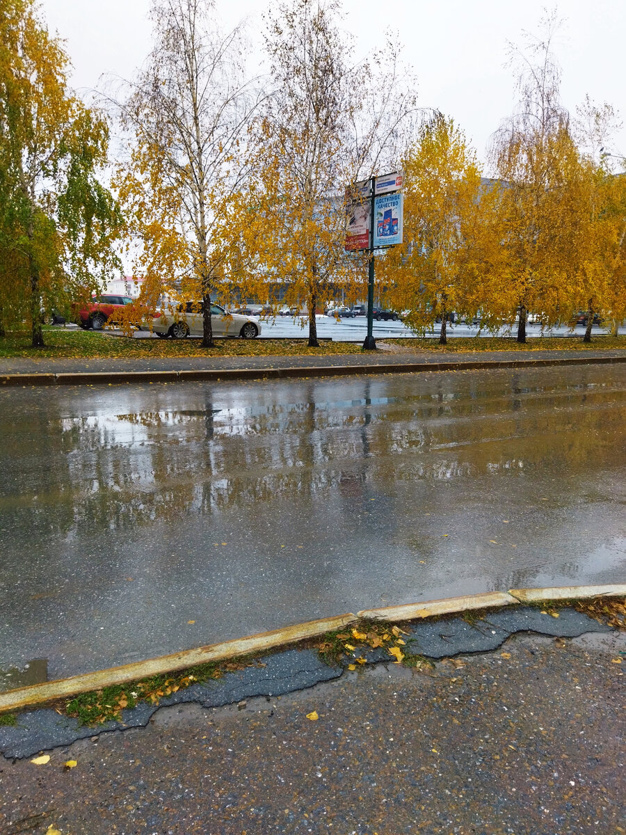 Фото автора. У нас сегодня мокрый снег идёт и ветер.