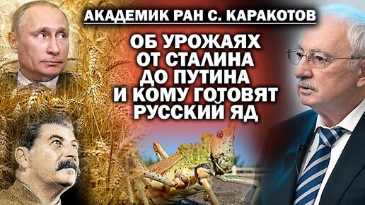 Академик С.Каракотов об урожаях при Сталине и Путине, и кому готовят русский яд / #АНДРЕЙУГЛАНОВ