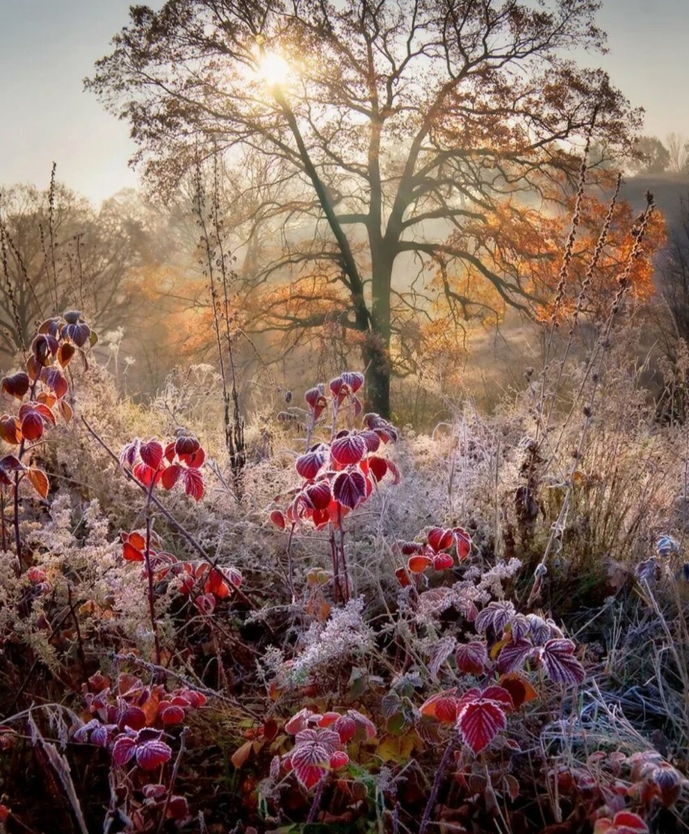 Советы астролога на ноябрь