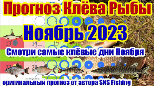 СМОТРИ САМЫЕ КЛЁВЫЕ ДНИ НОЯБРЯ Календарь рыбака на Ноябрь 2023 Прогноз клева  рыбы на неделю Лунный календарь рыбака | Рыбалка SNS Fishing | Дзен
