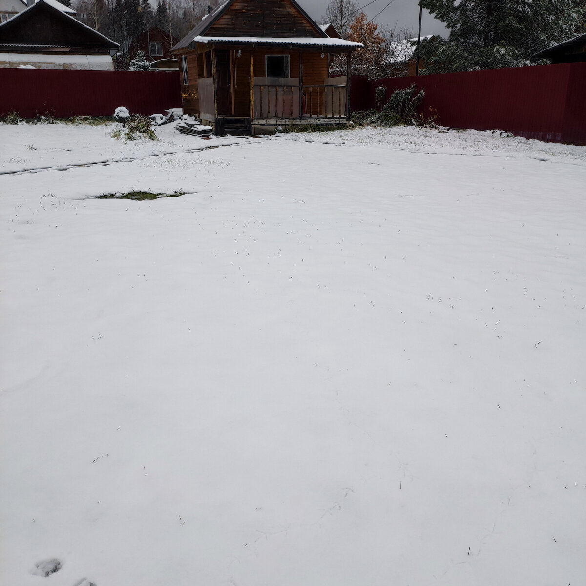 первый снег