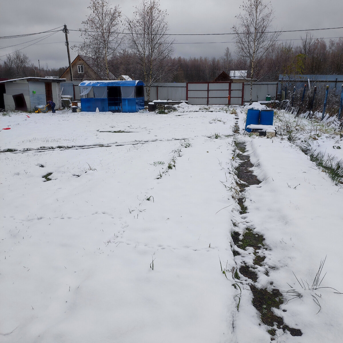 на участке уже зима