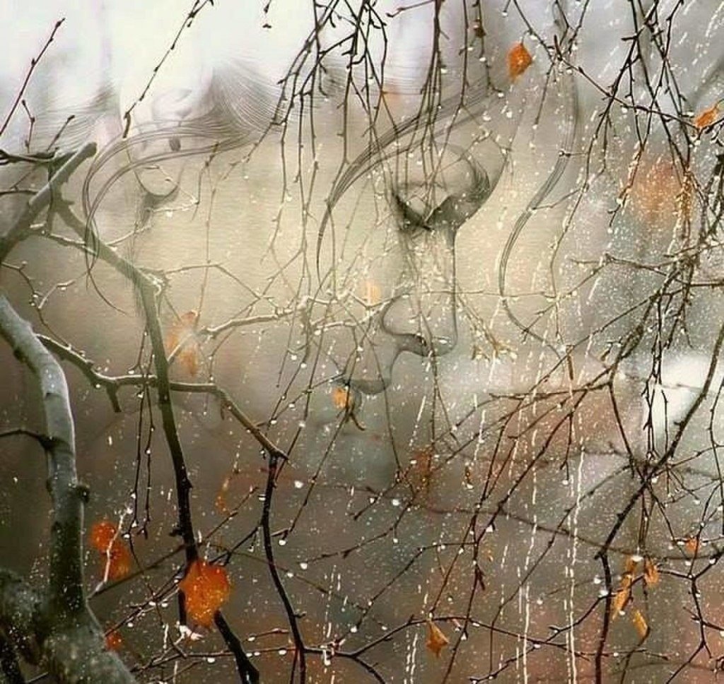 Осень бывает разная. Фото Яндекс.Картинки 