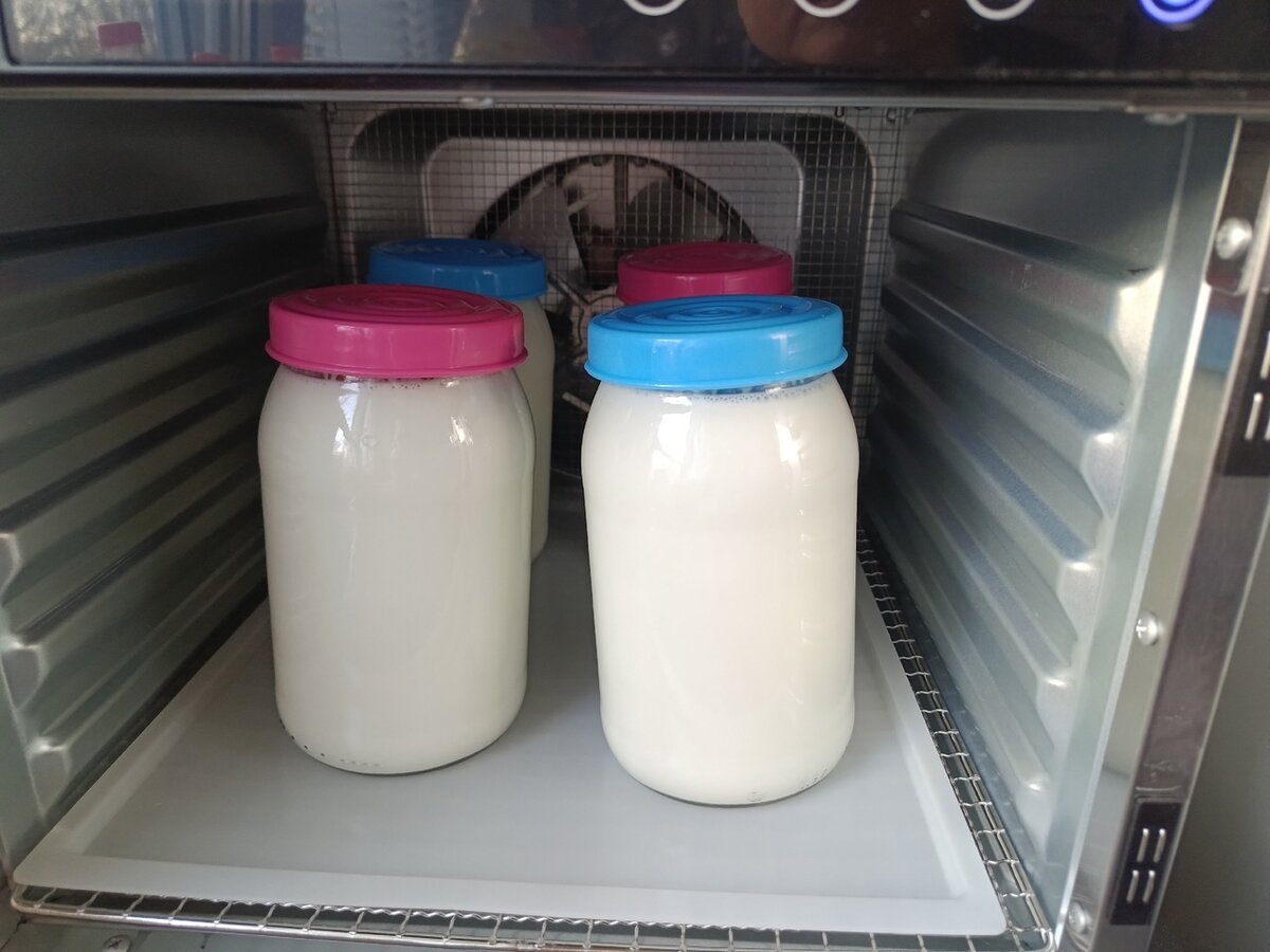 Йогурт в дегидраторе. Фото автора.