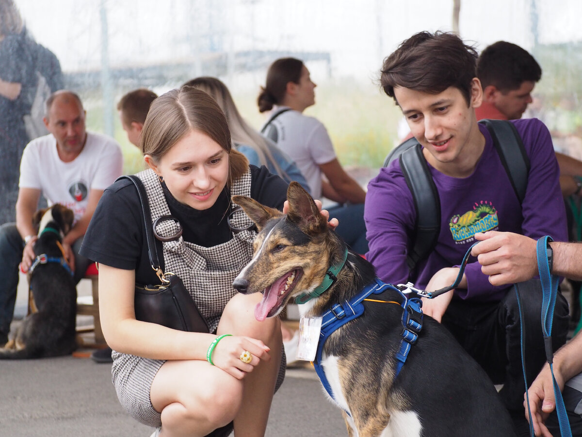 Лира, нашла любящий дом.