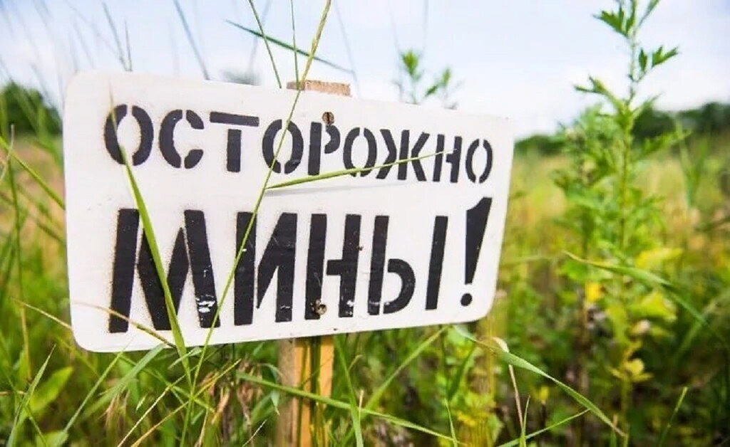 Фото из открытых источников