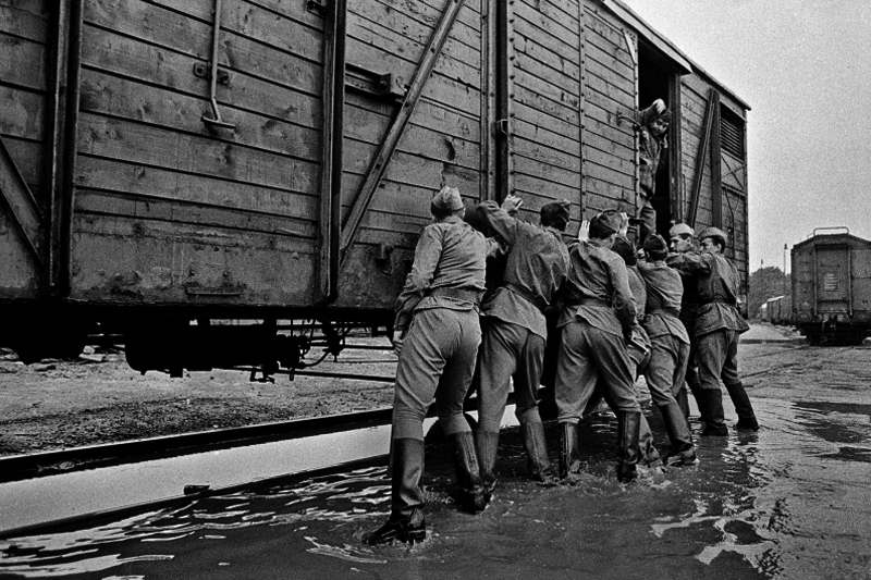 тяни-толкай...