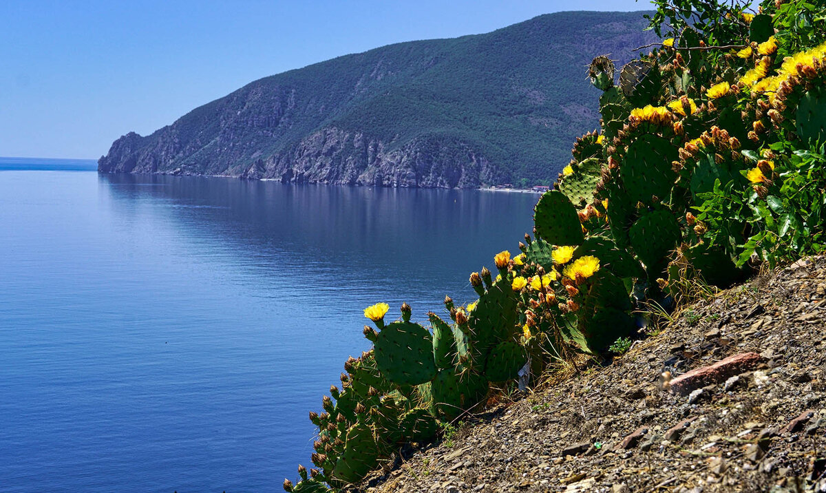 море утес алушта