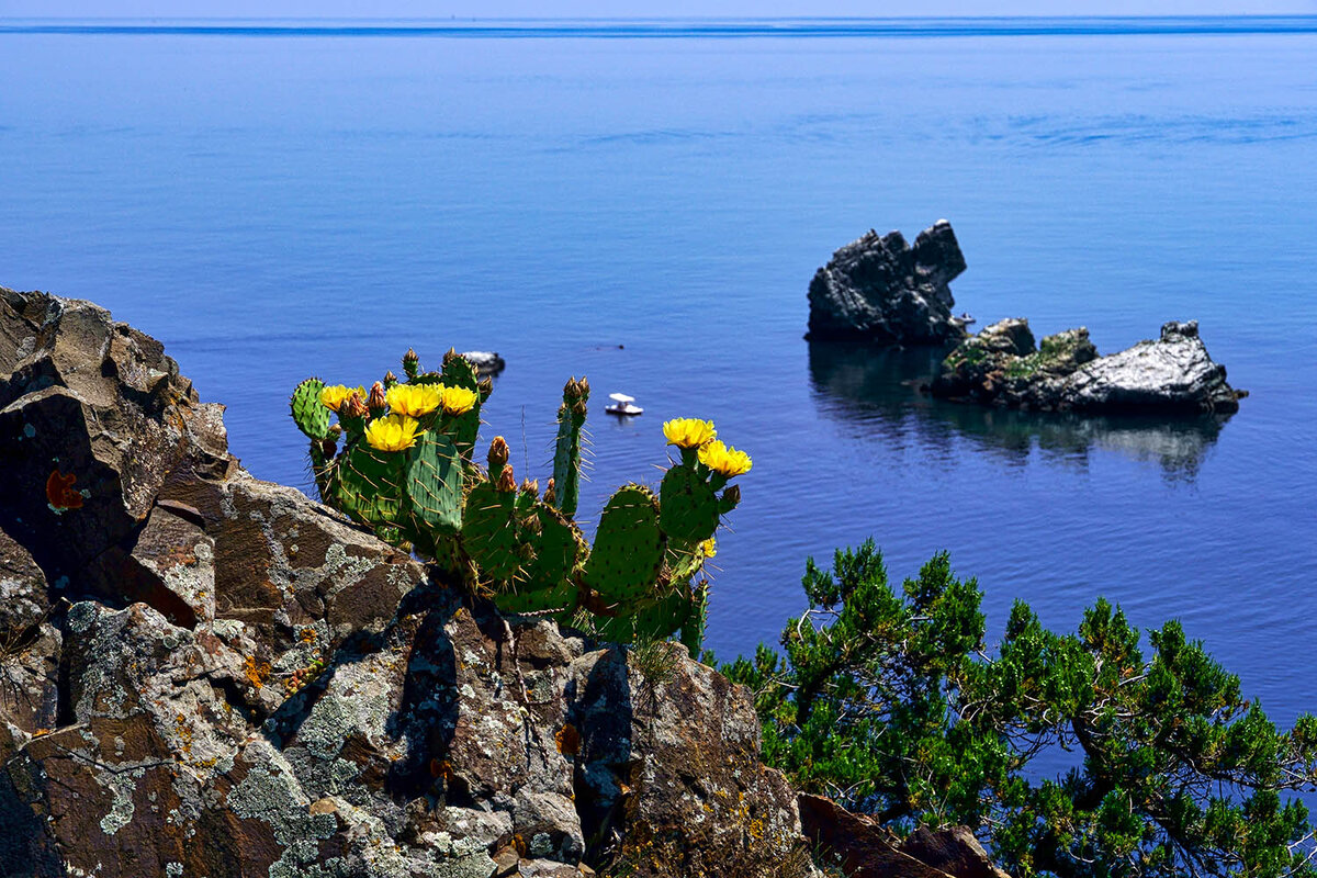 море утес алушта