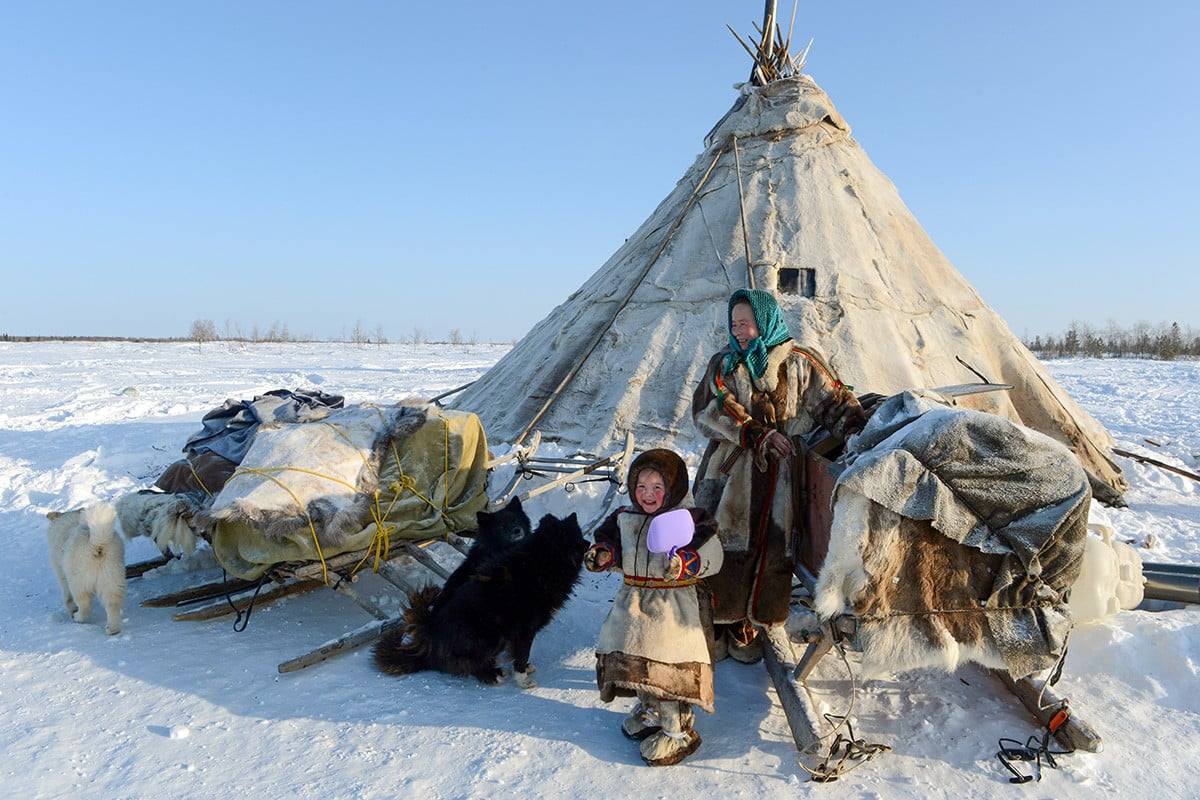 Оленеводство в Российской Арктике