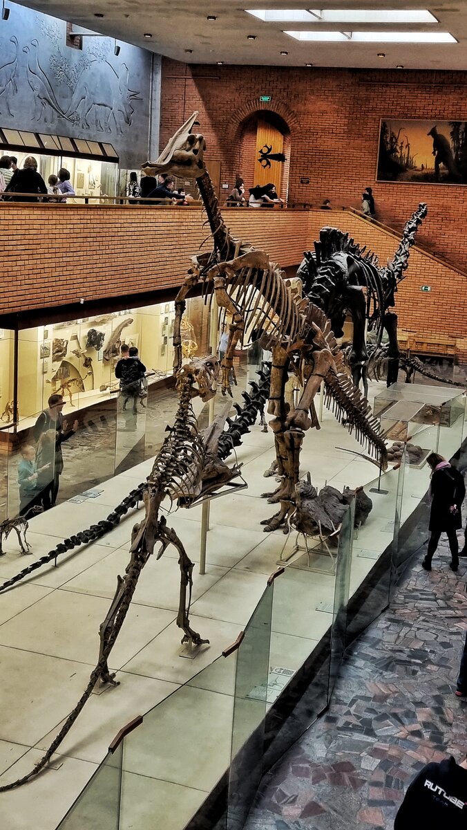 Палеантологический музей в Москве — шедевр архитектуры и ...