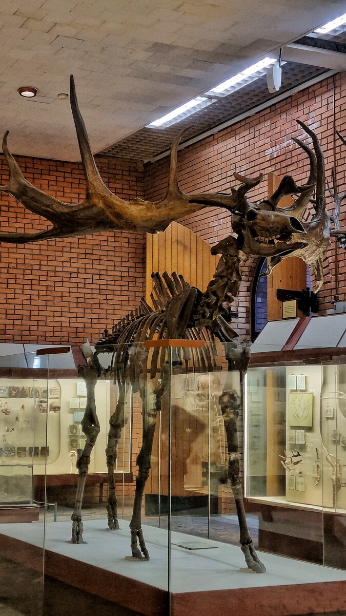 Палеантологический музей в Москве — шедевр архитектуры и ...