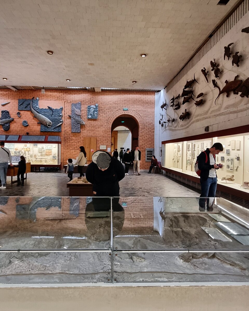 Палеантологический музей в Москве — шедевр архитектуры и ...