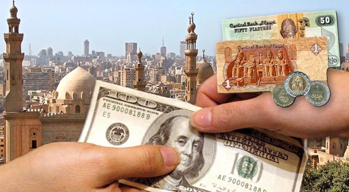 Изображение из открытого доступа "Яндекс-картинки"