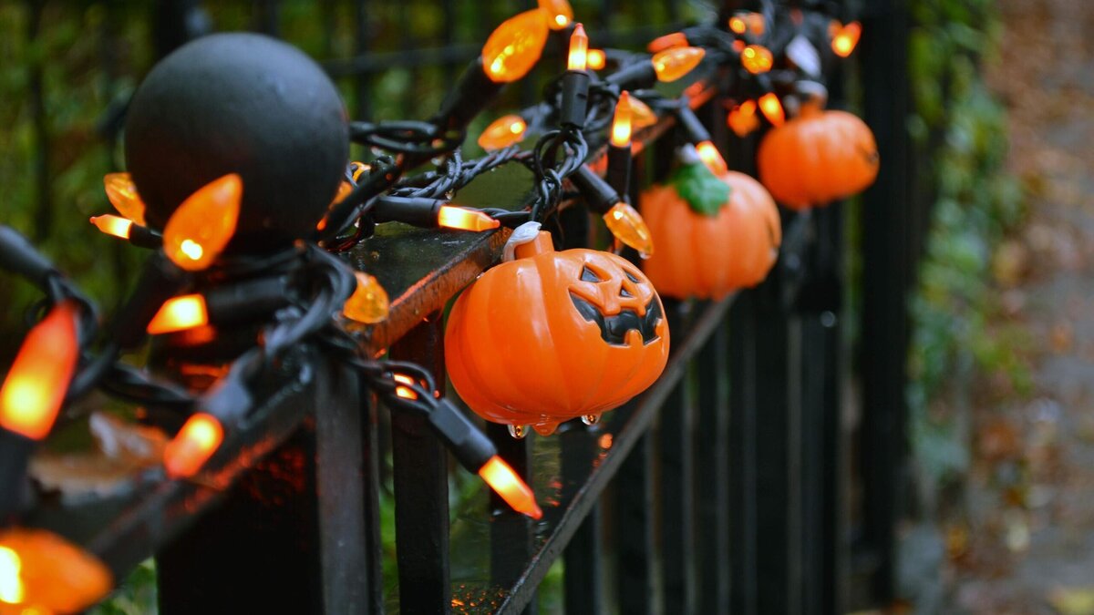    Где весело провести Хэлоуин-2023 в России: эксперт назвал два варианта© Unsplash | John Hayler