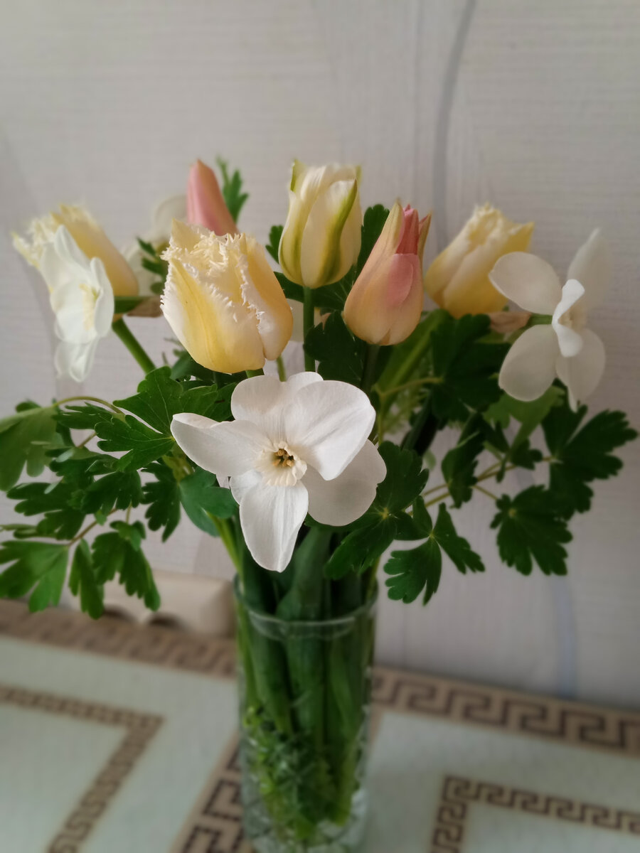 «Весенняя Элегия». Елена Насырова