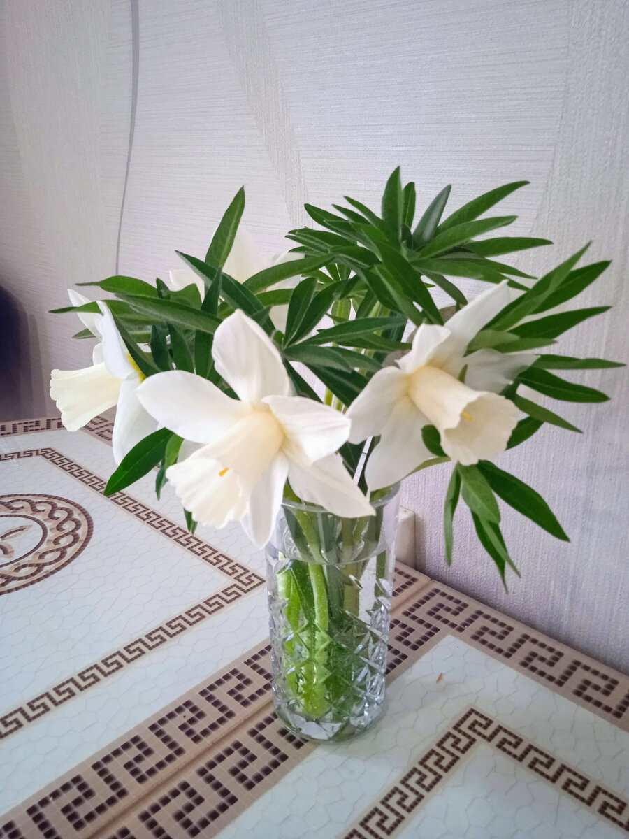 «Дездемона». Елена Насырова