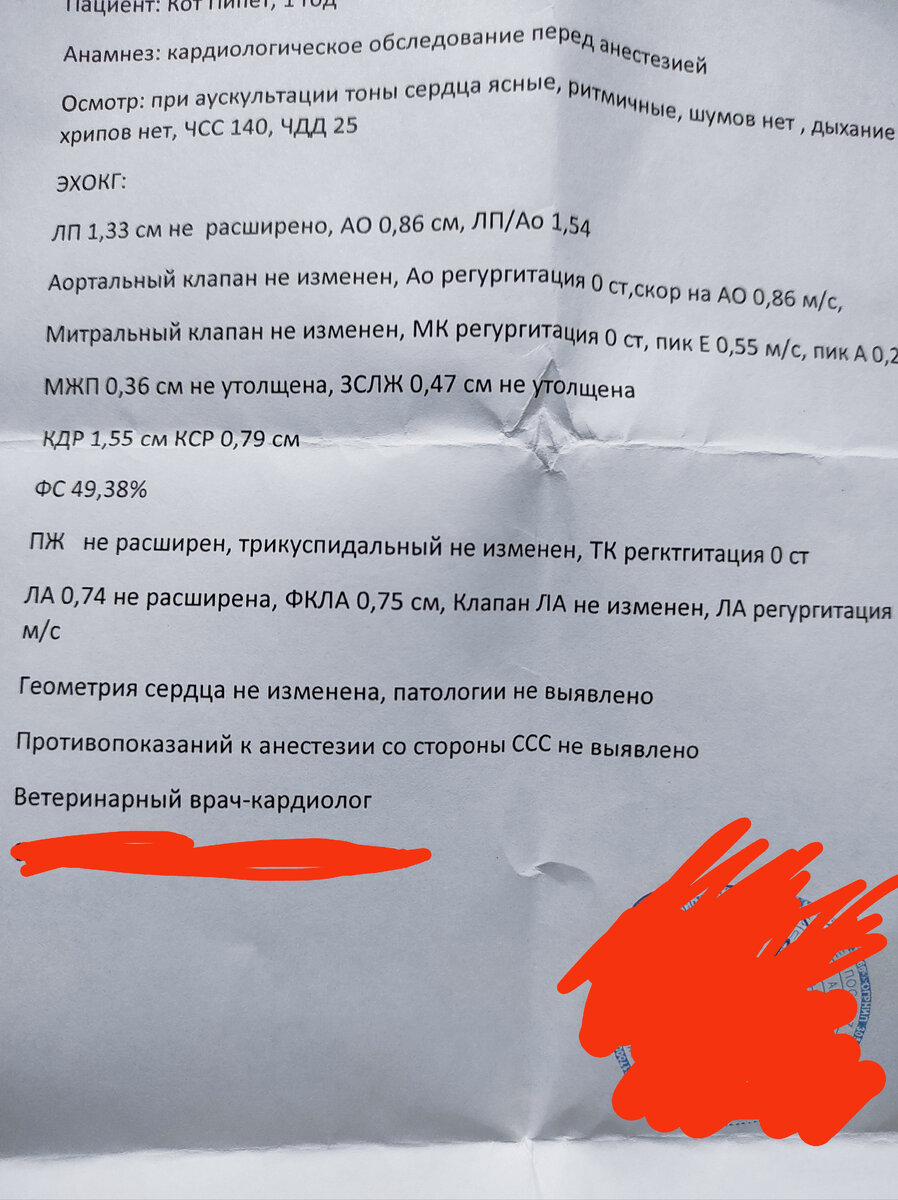 Личный архив