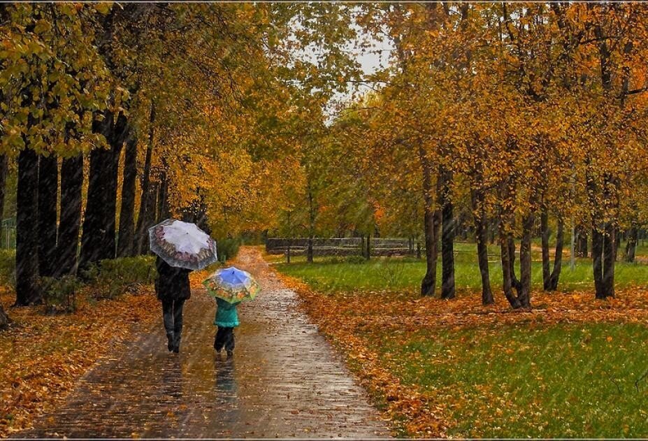 Изображение из открытых источников