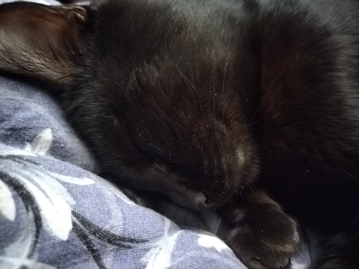 Спит малыш.