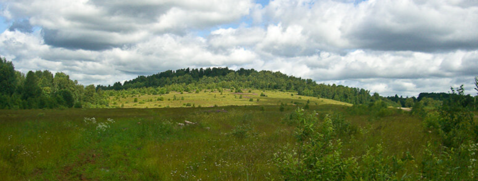 Тархов Холм